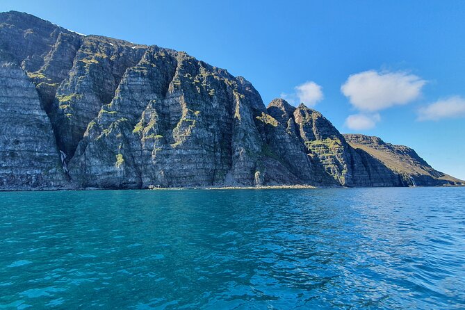 Boat Tours from Siglufjörður - Key points to know before you book