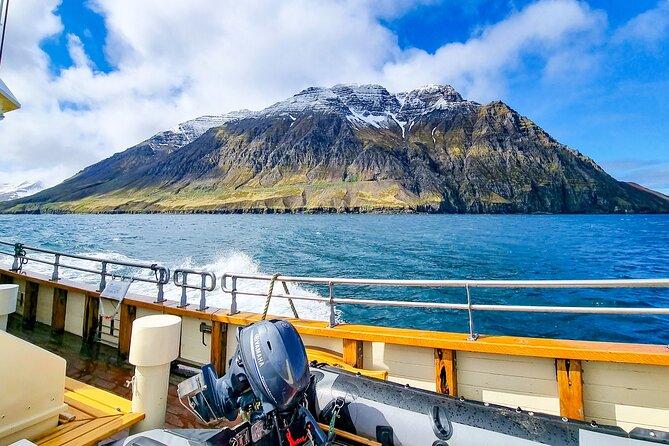 Boat Tours from Siglufjörður - Starting at Aðalgata 34 and boarding Örkin