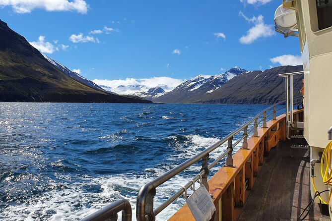 Boat Tours from Siglufjörður - Hvanndalabjarg, Iceland’s highest sea cliff