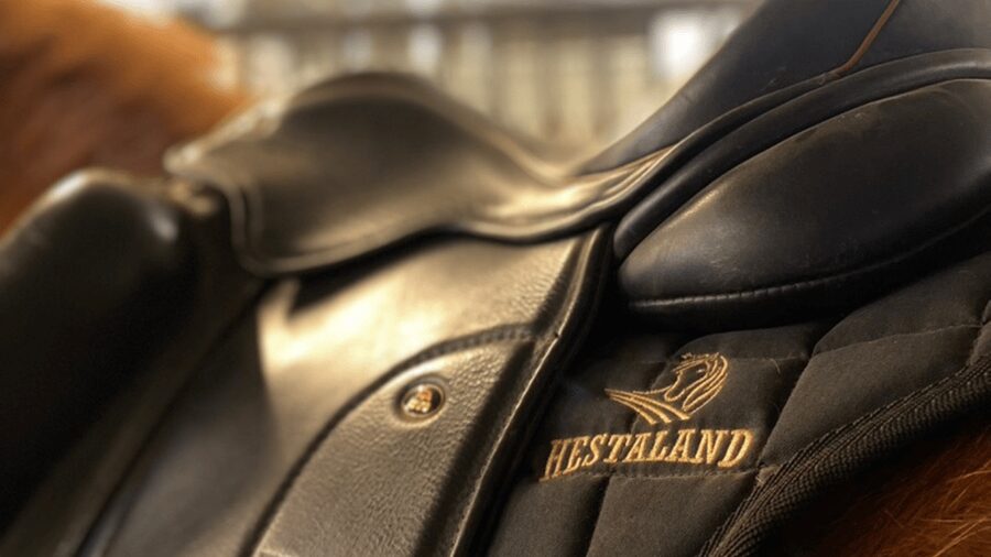 Borgarnes: Horseback Riding Tour with Prep Lesson - Starting at Hestaland, 15 minutes from Borgarnes