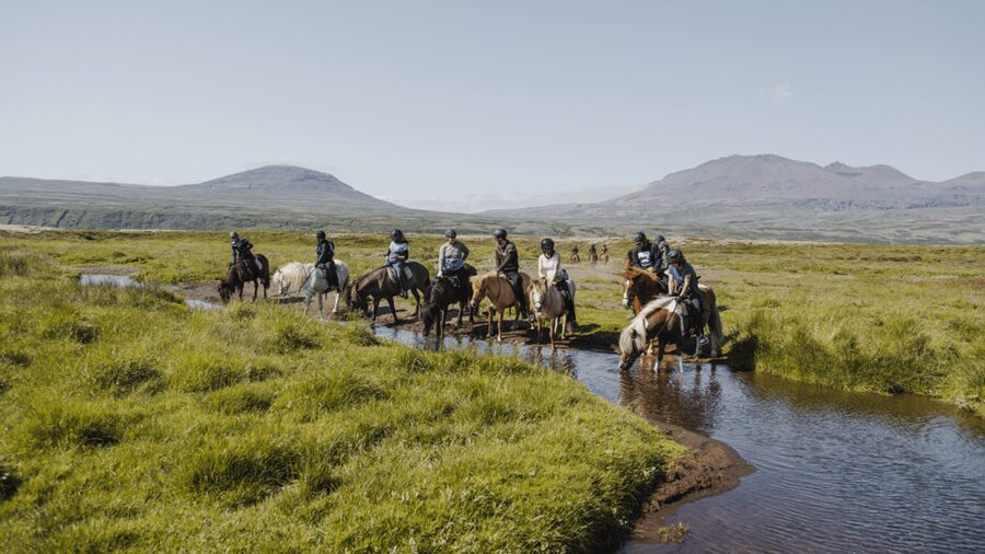 Borgarnes: Horseback Riding Tour with Prep Lesson - Meeting the Icelandic horses before heading outdoors