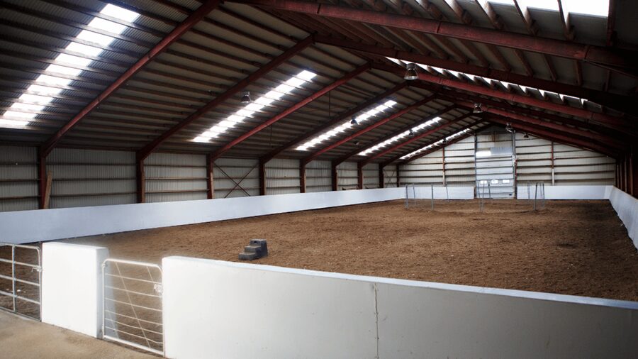 Borgarnes: Horseback Riding Tour with Prep Lesson - Tölt, pace, and what experienced riders can expect
