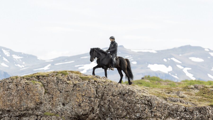 Borgarnes: Horseback Riding Tour with Prep Lesson - Friendly instruction and a personal feel
