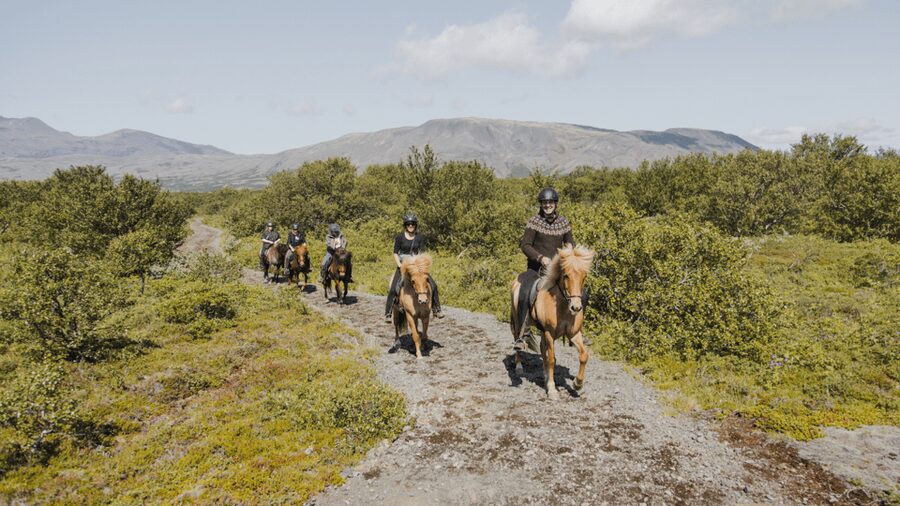 Borgarnes: Horseback Riding Tour with Prep Lesson - The large indoor arena gives beginners a safe start