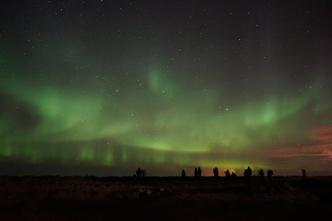 Chasing Aurora Borealis with Warmth and Treats in Premium Tour! - Hot chocolate, kleinur, and cinnamon buns