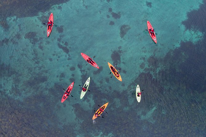 Classic Kayaking Adventure by Mt. Kirkjufell - Wildlife sightings near the inlet