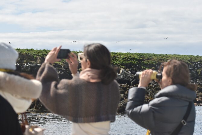 Classic Puffin Watching Cruise from Downtown Reykjavík - Watching puffins at Engey, Akurey, or Lundey