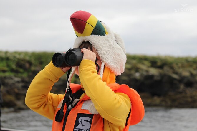 Classic Puffin Watching Cruise from Downtown Reykjavík - Should you book the Elding puffin cruise?