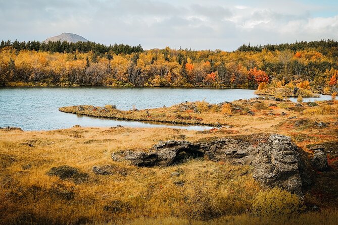Cruise Tour Godafoss and Myvatn Lake and Baths Small Group - Key things to know before booking