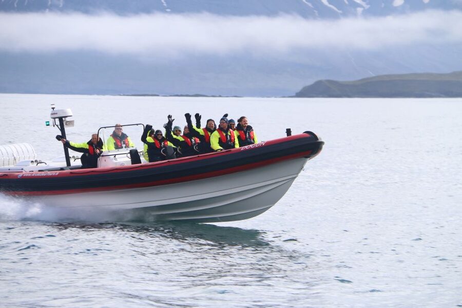 Dalvík: Whale Watching Speedboat Tour - Key points to know before you book