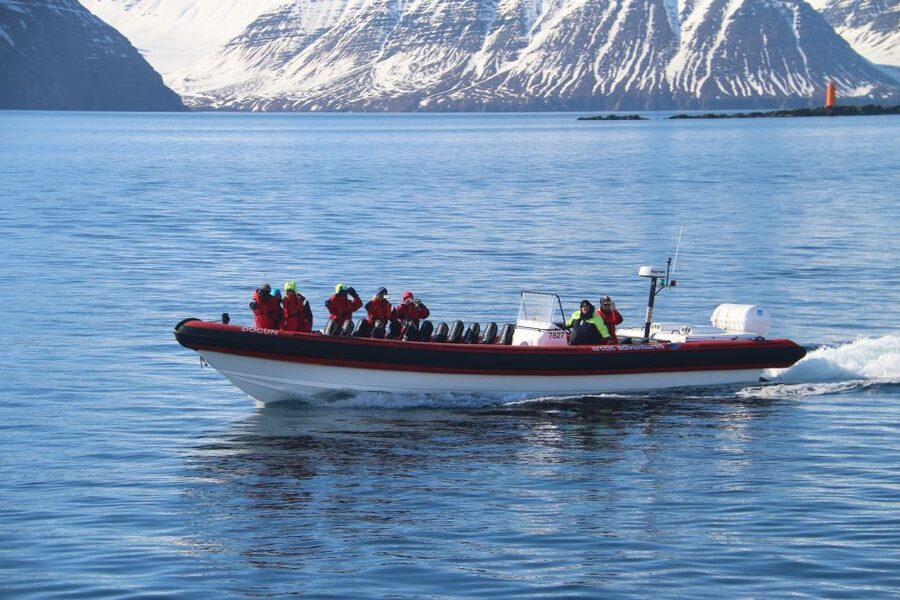 Dalvík: Whale Watching Speedboat Tour - What the RIB boat feels like in practice
