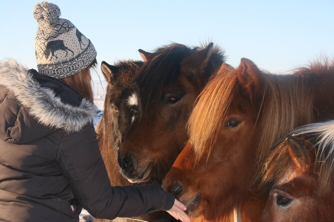 Day Trip to Lake Mývatn And The Nature Baths from Akureyri - The ride from Akureyri to Goðafoss