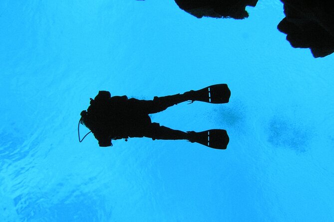 Dive the Divide: Silfra Fissure Scuba Tour | Meet at Thingvellir - The 400-meter equipment walk