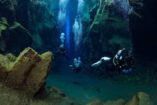Dive the Divide: Silfra Fissure Scuba Tour | Reykjavik Pickup - How the guide and group size affect the day