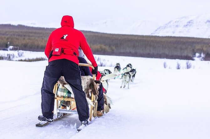 Dog Sledding Tour near Akureyri - The $468.09 price: who gets good value