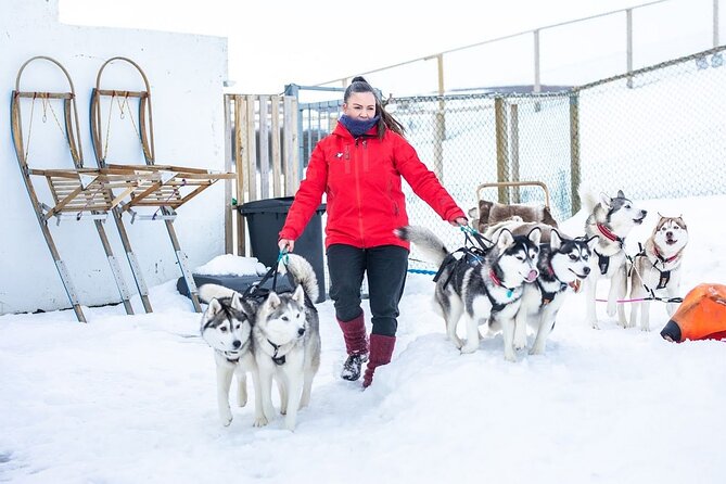Dog Sledding Tour near Akureyri - Why the small group size matters