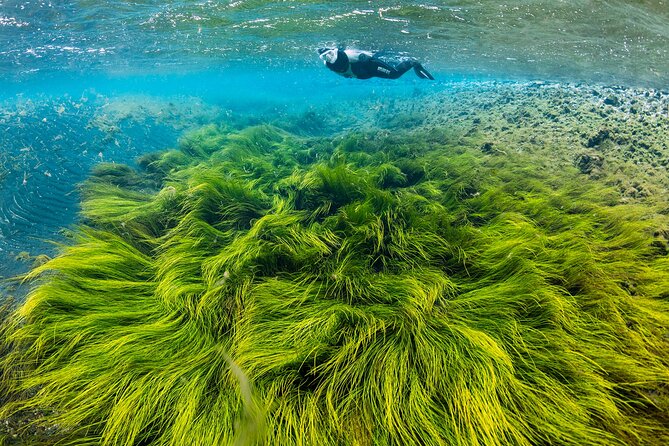 Double Snorkeling Adventure near Húsavík in North Iceland - Key points to know before you book