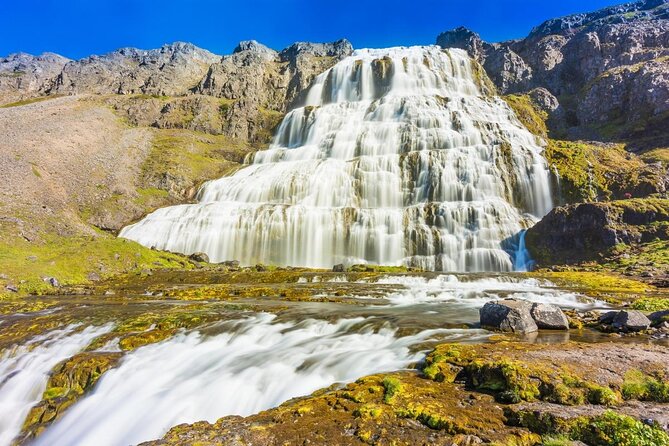 Dynjandi Waterfall & Iceland Farm Visit Tour - Gemlufell Farm near Þingeyri