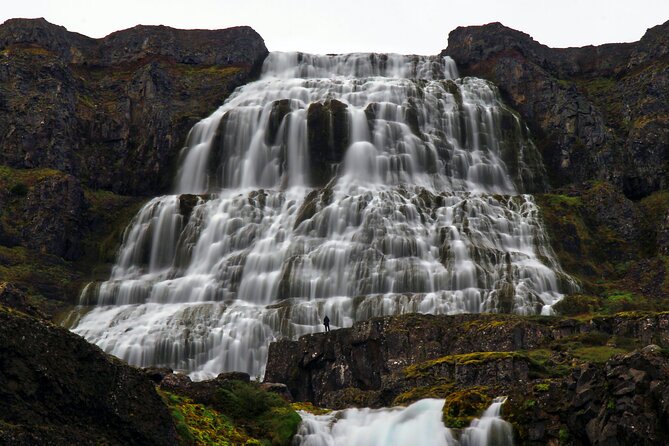 Dynjandi Waterfall & Iceland Farm Visit Tour - Group size, port pickup, and timing