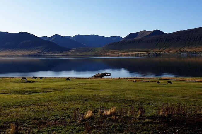 Dynjandi Waterfall & Iceland Farm Visit Tour - Who will enjoy this excursion most