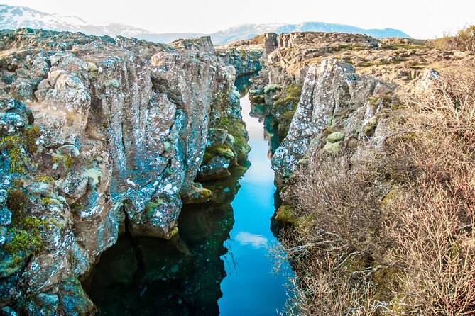 Exclusive Thingvellir National Park Private Day Tour - Is $476.72 Per Person Fair Value?
