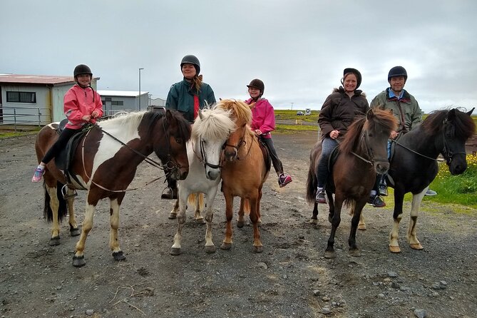Experience Countryside of Iceland by Horseback Riding - What to pack and what to expect from the stable