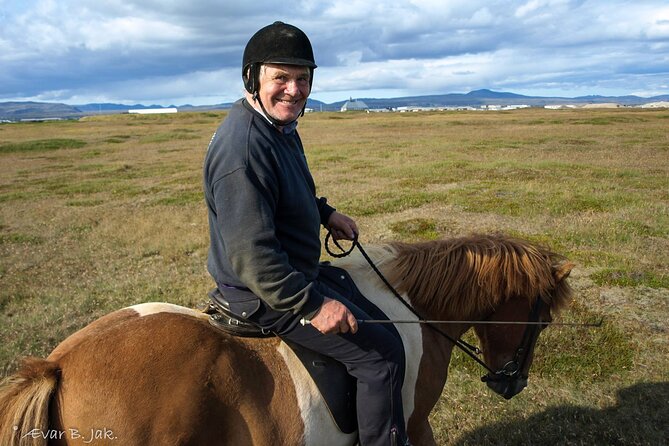 Experience Countryside of Iceland by Horseback Riding - Getting matched with a horse and learning the basics