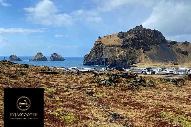 Eyjascooter volcano tour in Westman Island - Puffins, sheep, and Icelandic horses