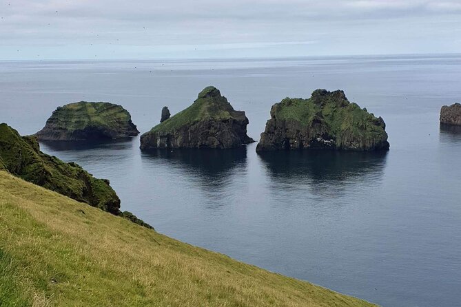 Eyjascooter volcano tour in Westman Island - What one hour really gives you