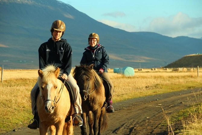 Family Friendly Horse Riding Tour in Skagafjörður - Riding through Skagafjörður from the saddle