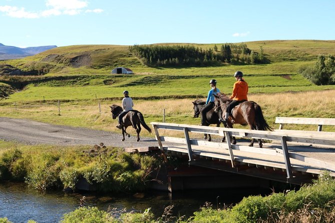Family Friendly Horse Riding Tour in Skagafjörður - Why the river crossing matters