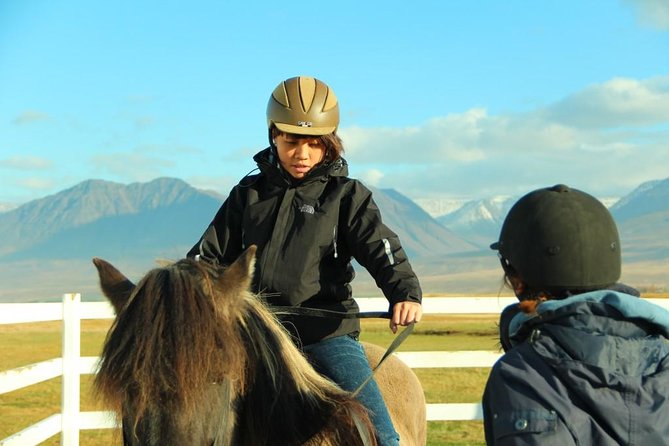 Family Friendly Horse Riding Tour in Skagafjörður - Family appeal, with a few practical limits