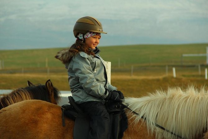 Family Friendly Horse Riding Tour in Skagafjörður - What the small group changes