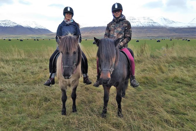 Family Friendly Horse Riding Tour in Skagafjörður - Price and what you receive for $90.05