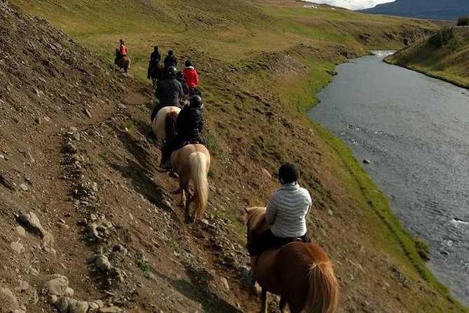 Family Friendly Horse Riding Tour in Skagafjörður - Weather, clothing, and comfort