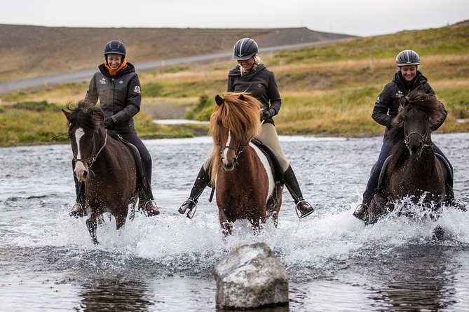 Family Friendly Horse Riding Tour in Skagafjörður - What happens at Hestasport Reception