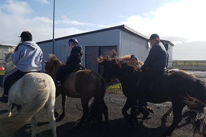 Family Horse Riding Tour in Thorlakshofn - Why the horse matters as much as the scenery