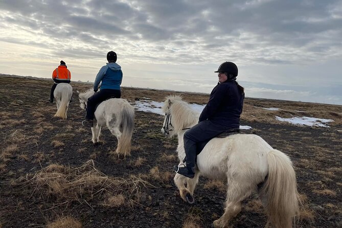 Family Horse Riding Tour in Thorlakshofn - Strandakirkja and the ocean cliffs