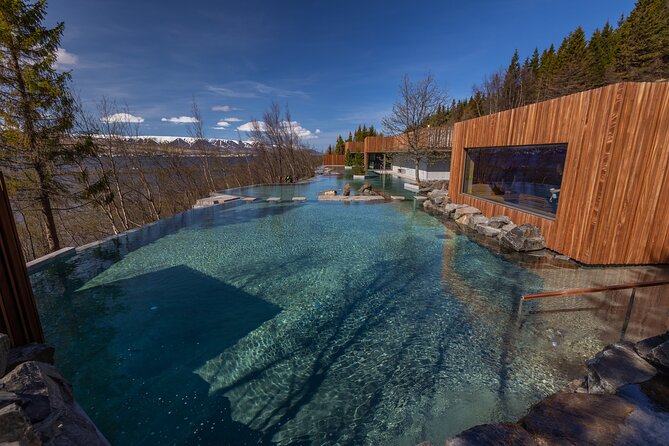 Forest Lagoon and Northern Lights Guided Night Tour - What makes the guide important