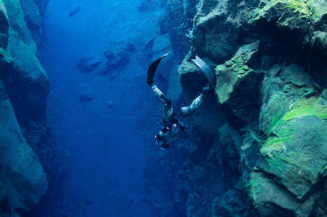 Freedive Silfra Half Day Tour - Key points at a glance
