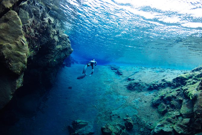 Freedive Silfra Half Day Tour - What the $233.50 price includes