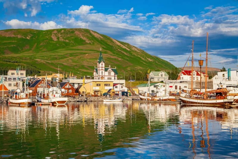 From Akureyri Port: Diamond Circle Guided Day Trip w/ Lunch - Lake Mývatn from the road