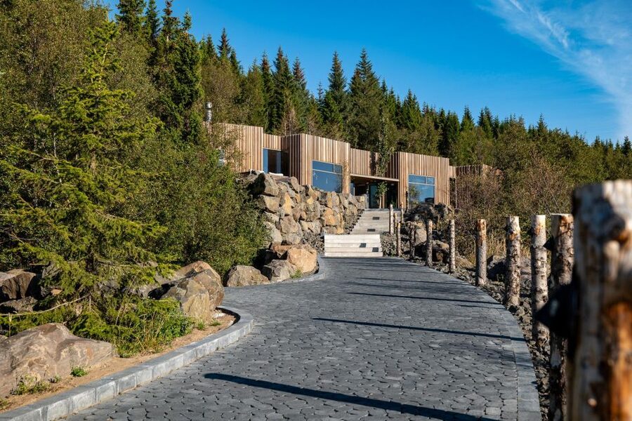 From Akureyri Port: Goðafoss Waterfall & Forest Lagoon Tour - What the $235 price really covers