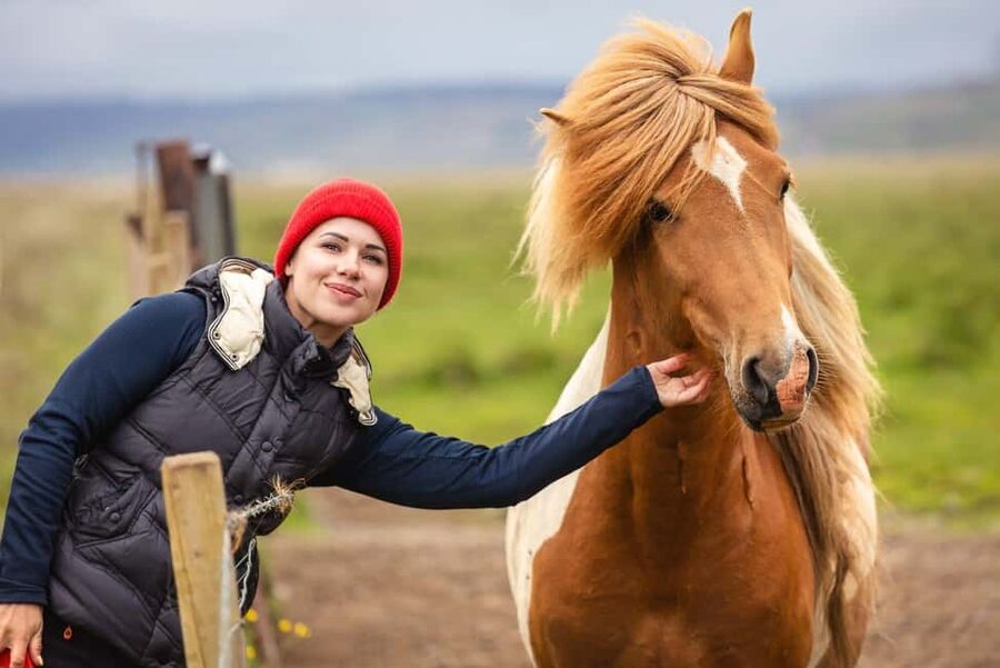 From Reykjavík: Best of Iceland 6-Day Stopover Tour - Five Reykjavík nights, one easy base