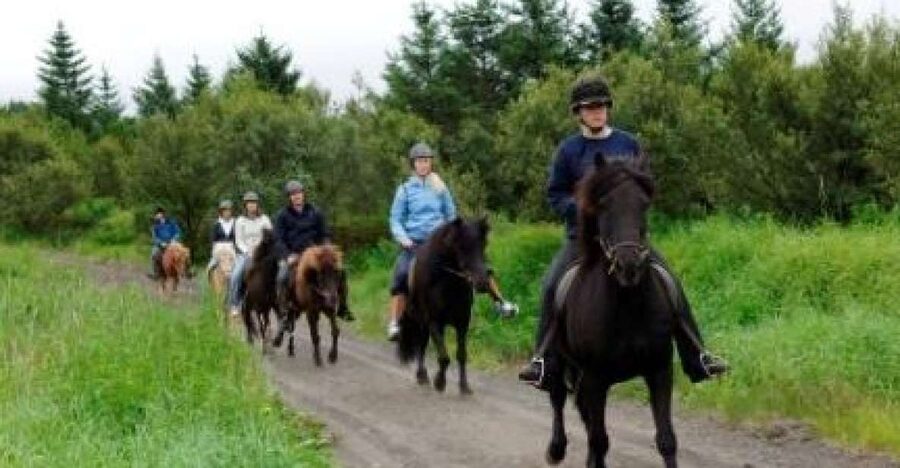 From Reykjavik: Full-Day Horse Riding & Golden Circle Tour - Key points to know before booking