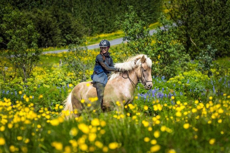From Reykjavik: Full-Day Horse Riding & Golden Circle Tour - What to wear for the two-hour ride