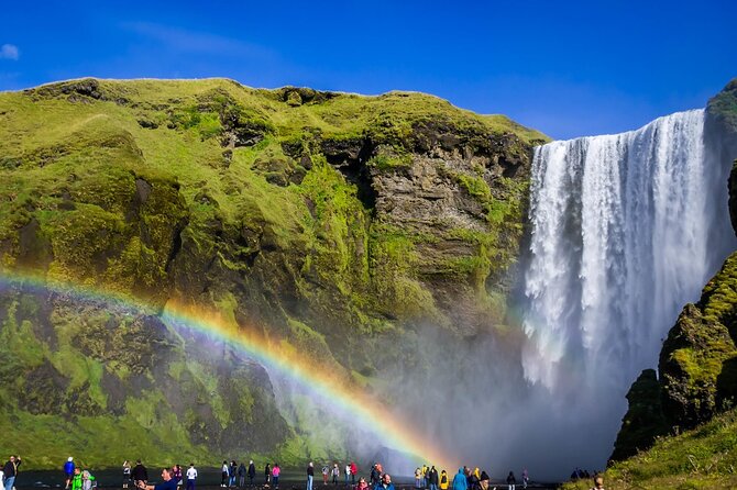 From Reykjavik: Full Day Private South Coast Tour in Iceland - Solheimajokull gives you a close look at glacial ice