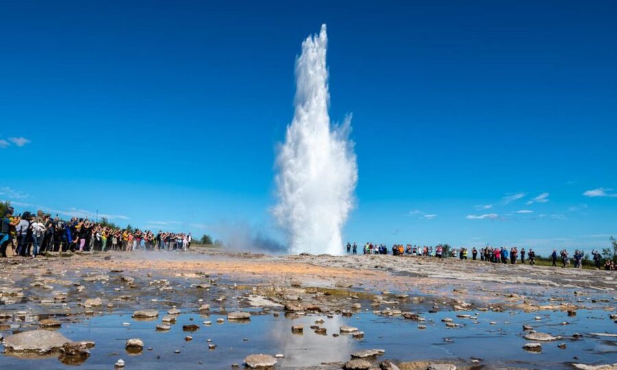 From Reykjavik: Full Day Whale Watching & Golden Circle Tour - Thingvellir: geology and national history in 45 minutes