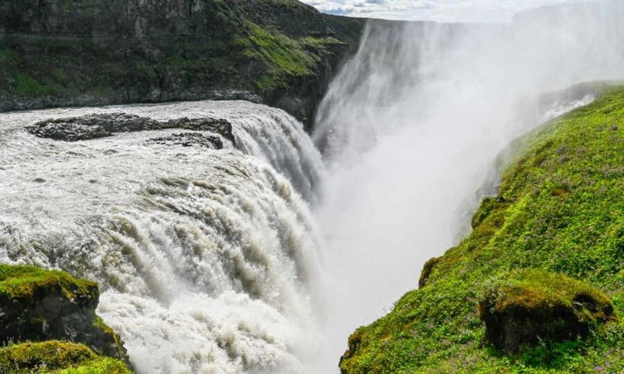 From Reykjavik: Full Day Whale Watching & Golden Circle Tour - Is $222 good value?