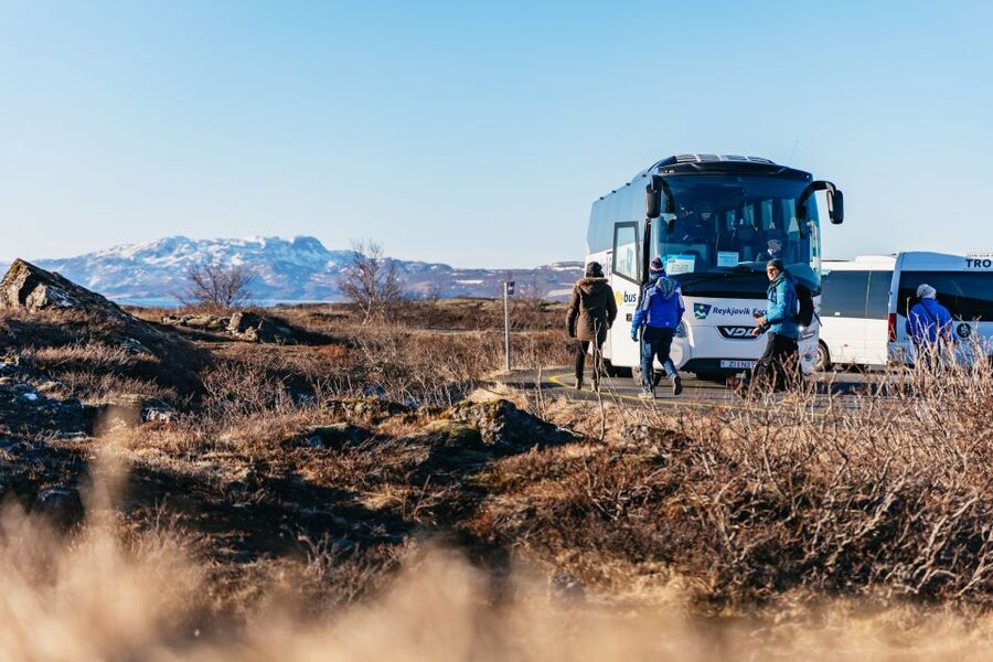 From Reykjavik: Golden Circle and Glacier Snowmobiling - One hour on a snowmobile